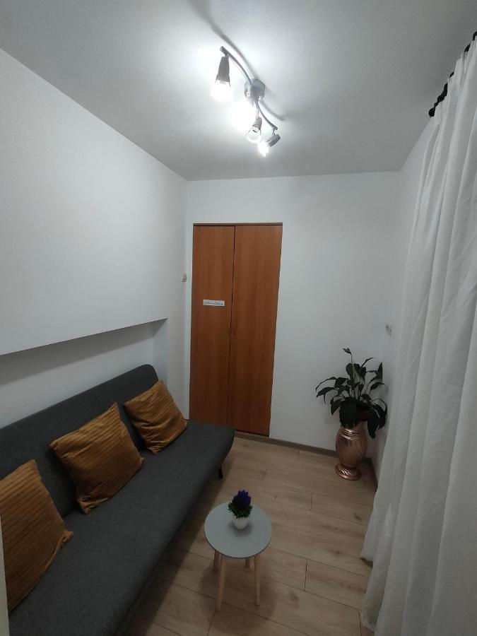 Vania Studio Leilighet Sibiu Eksteriør bilde